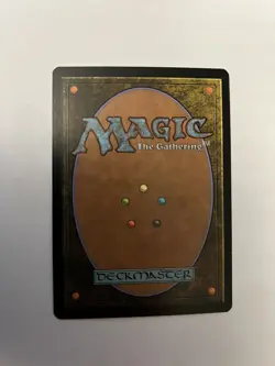 MTG Forest Coldsnap Theme Deck 382/383 Regular Land - Image 2