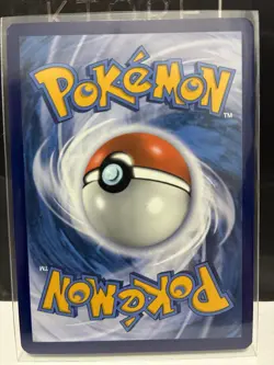 Charizard V SWSH260 SWSH: Sword & Shield Promo Cards Holo - Image 2