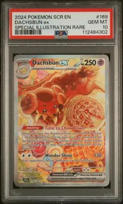 Pokemon TCG Dachsbun ex 169/142 Stellar Crown Special Illustration Rare - PSA 10 - Image 1