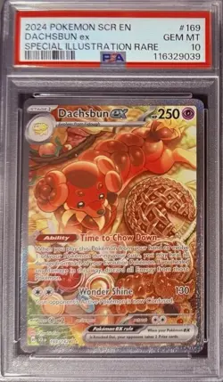 Pokemon TCG Stellar Crown Dachsbun EX 169/142 Special Illustration Rare, PSA 10 - Image 1