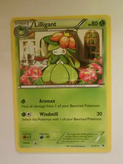 065PK005 - Lilligant - 5/101 - Noble Victories - Rare Z - Image 1