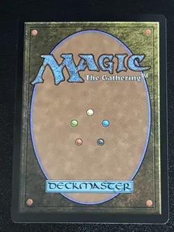 MTG Aetherdrift Wastewood Verge Borderless Foil 0374 NM Rare - Image 2