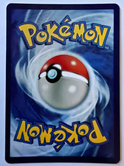 Charizard 146/144 Skyridge Reverse Holo 2003 CUST0M MADE (PR0XY) Pokemon Card - Image 2
