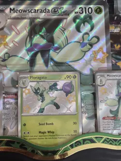 Pokemon: Paldean Fates Premium Collection -Meowscarada ex Shiny Promos Sealed 820650856341 - Image 3