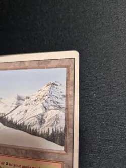 MTG Taiga Revised English Rare Reserved List Magic LP+/NM - Image 3