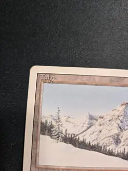 MTG Taiga Revised English Rare Reserved List Magic LP+/NM - Image 4