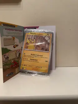 Pokemon x Natural History Museum: Pikachu At The Museum in hand - Image 1