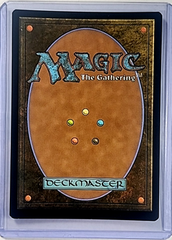 2024 MTG Magic The Gathering PIP Fallout Surge Foil 940 Desdemona Freedom's Edge - Image 2