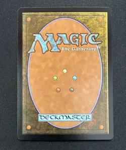 Windswept Heath - Onslaught - LP MTG - Image 2