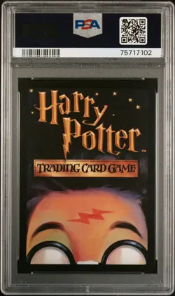 2001 Harry Potter #18 Rubeus Hagrid Holo SPANISH PSA 9 Mint POP 1 None higher! - Image 2