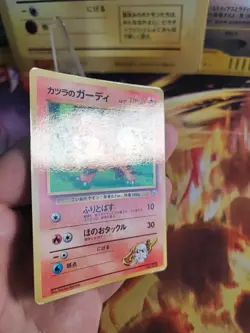 Pokemon Karte Card Blaines Growlithe Gym Corocoro Promo Gloss Wotc japanese Exc+ - Image 3