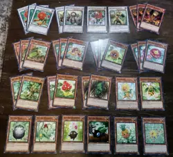 Yugioh Naturia Deck Core Of 44 Cards - Naturia Leodrake, Naturia Landoise, Etc. - Image 1