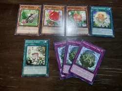 Yugioh Naturia Deck Core Of 44 Cards - Naturia Leodrake, Naturia Landoise, Etc. - Image 2
