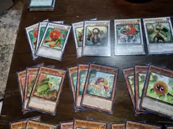 Yugioh Naturia Deck Core Of 44 Cards - Naturia Leodrake, Naturia Landoise, Etc. - Image 3