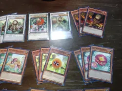 Yugioh Naturia Deck Core Of 44 Cards - Naturia Leodrake, Naturia Landoise, Etc. - Image 4