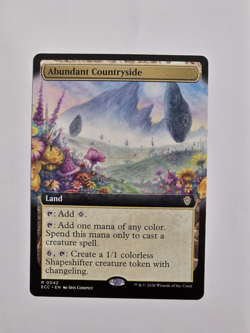 Abundant Countryside - R0042 Reg (Extended Art) - Lorwyn Eclipsed - MTG - NM - Image 1