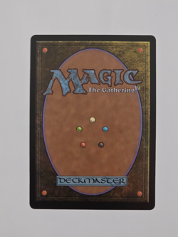 Abundant Countryside - R0042 Reg (Extended Art) - Lorwyn Eclipsed - MTG - NM - Image 2