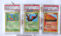 Pokemon Grand Prize Winners Kids' WB! Poke Card Creator Contest Promo Set PSA - Image 2