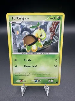 Pokemon TCG Turtwig Pop Series 6 Holo Card 17/17 MP/HP - Image 1