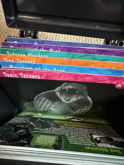 Weird N Wild Creatures Card Lot, Trading And Large Cards And Case - Image 4