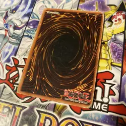 Red-Eyes B. Dragon SDJ-001 - MP - YuGiOh! - Image 2