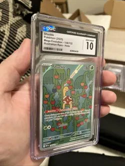 Pokemon Mega Evolution Shuckle Illustration Rare Holo 136/132 CGC GEM MINT 10 - Image 3