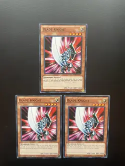 Yugioh Blade Knight LDK2-ENK13 Common 1st Edition MP/HP X3 - Image 1