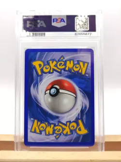 PSA 8 Poliwag 125/165 Non - Holo Expedition 2002 Pokemon NEAR MINT Pop 6 - Image 2