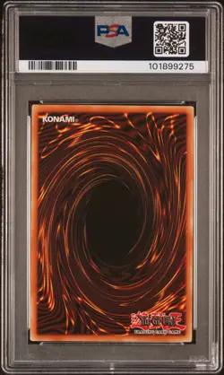 2024 YU-GI-OH! MP24-25TH ANV TIN: DUELING MIRRORS DARK MAGICIAN GIRL PSA 10 - Image 2