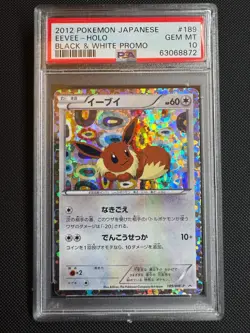 Eevee - 189/BW-P 189/BW-P BW-P Promotional cards Holo (Japanese) PSA 10 - Image 1