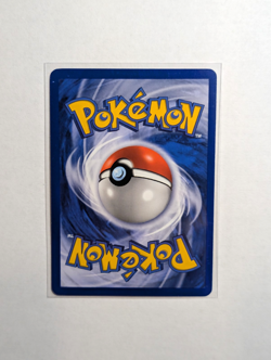 Eevee #11 Holo Black Star Promo, 2000 Vintage Pokemon TCG Holo - Image 3