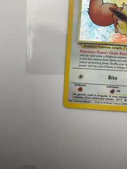 Pokemon - Eevee Black Star Promo 11 Holo - Rare - 1999-2000 WoTC - Image 4