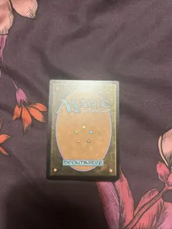 Mountain - 0891 - Foil - MTG - Secret Lair Drop Series - Image 2