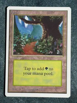 MTG Unlimited Land Full 15 Card Set Magic the Gathering 1993 - Image 1