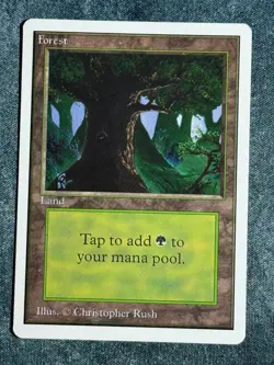 MTG Unlimited Land Full 15 Card Set Magic the Gathering 1993 - Image 2