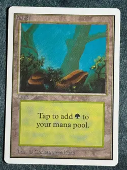 MTG Unlimited Land Full 15 Card Set Magic the Gathering 1993 - Image 3