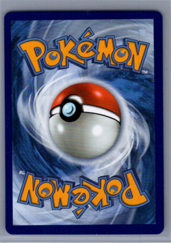Mega Kangaskhan ex 164/132 Full Art Pokemon TCG Mega Evolution NM - Image 2