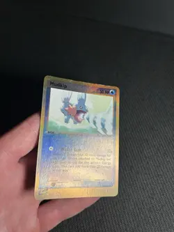 Pokemon TCG Mudkip 65/97 Dragon Reverse Holo MP - Image 5