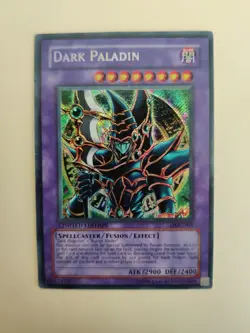 Dark Paladin DMG-001 Limited Edition MP - Image 1