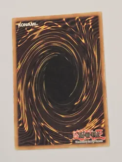 Yugioh Dark Paladin DMG-001 Limited Edition Secret Rare - MP- - Image 2