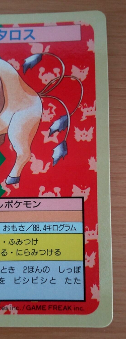 Pokemon Card Japanese Top sun Tauros 1995 vintage from Japan - Image 2