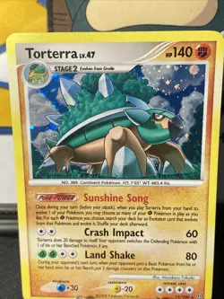 Pokemon TCG Torterra 11/100 Diamond & Pearl: Stormfront Holo Rare - Image 3