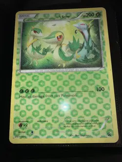 Pokemon Jumbo Promos Cards Gengar Rayquaza Largest Lot Of 45 eBay Near Mint See! - Image 4