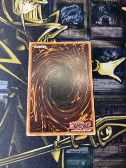 Dark Magician Girl MFC-000 Magician's Force Unlimited Lightly Played - Image 2