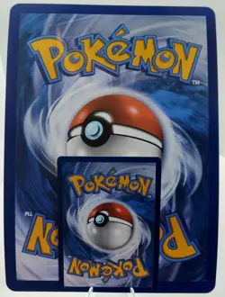 JUMBO! Terapagos And Friends Black Star Promo Rare Holo SV Pokemon TCG NM - Image 3