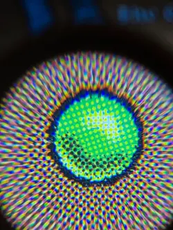 Phyrexian Negator - Urza's Destiny - Near Mint | MTG - Image 3