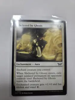 Sheltered by Ghosts Duskmourn: House of Horror Regular - Image 1