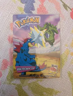 WENDY'S Vital Statistic CHARIZARD Promo POKEMON Laminated 2002 Trading Card 2/15 - Image 2