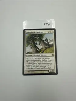Magic: The Gathering - Indomitable Ancients - Morningtide - 13/150 - White Rare - Image 1