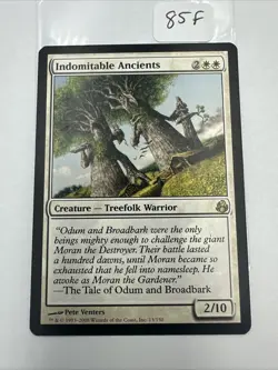 Magic: The Gathering - Indomitable Ancients - Morningtide - 13/150 - White Rare - Image 2